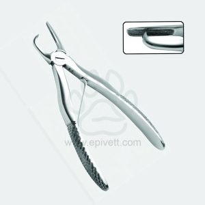 Tartar Removing Forceps Bent Jaws Veterinary Dental Instrument Dentistry Tools - Image 1