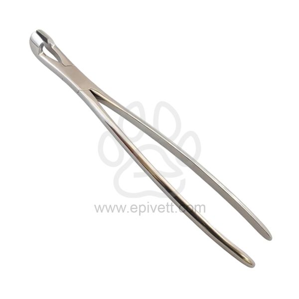 Equine-Dental-Forceps-Hewson-Style-EPD.134.jpg